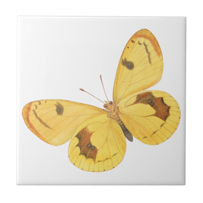Yellow Butterflies - Vintage Fine Art Ceramic Tile