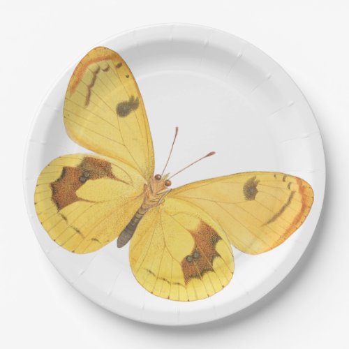Yellow Butterflies _ Vintage Fine Art Paper Plate