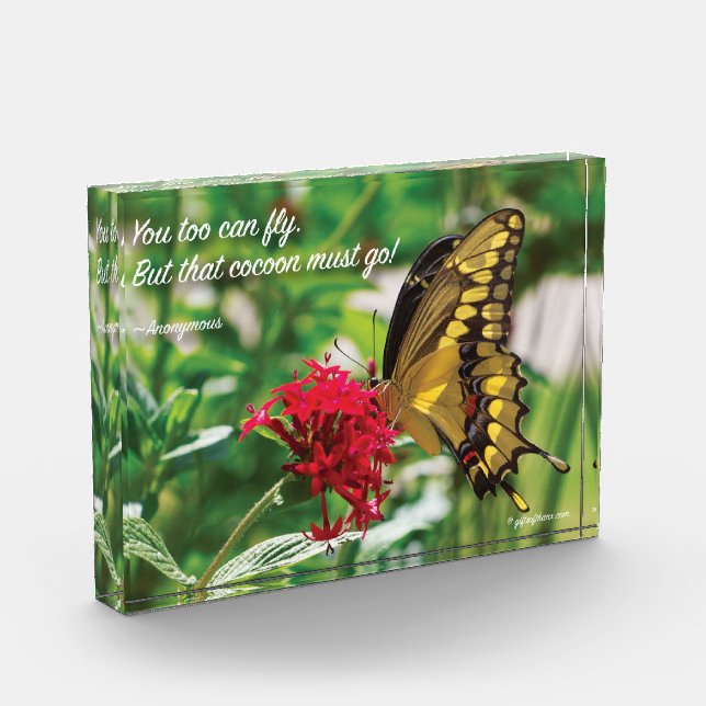 Yellow Butterfly Acrylic Block (Left)