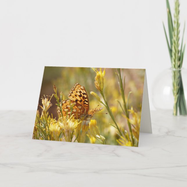 Yellow Butterfly, Blank All Occasion Greeting Card (Front)