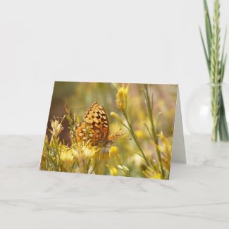 Yellow Butterfly, Blank All Occasion Greeting Card
