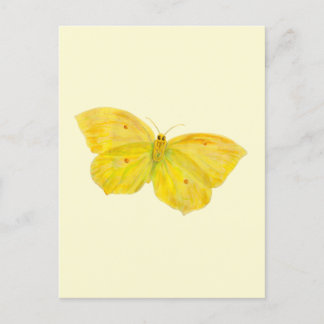 Yellow Butterfly Common Brimstone flying Holiday Postcard