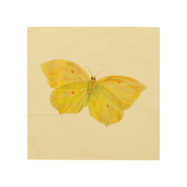 Yellow Butterfly Common Brimstone flying  Wood Wall Art (Front)