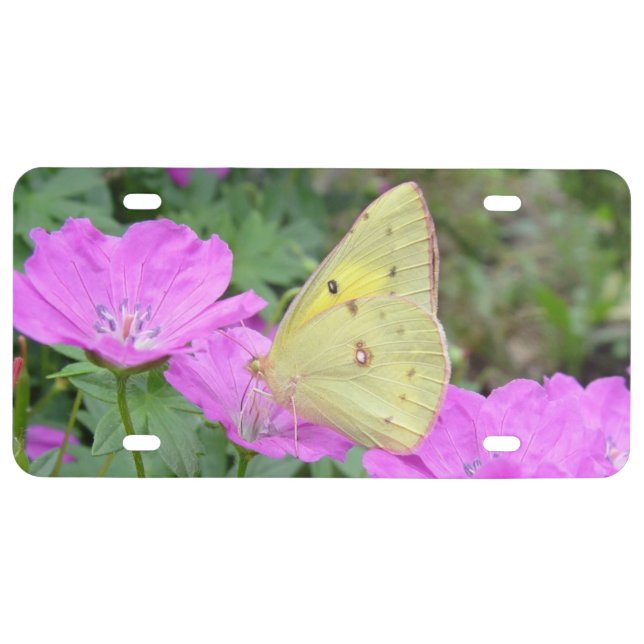 Yellow butterfly Geranium flowers License Plate (Front)