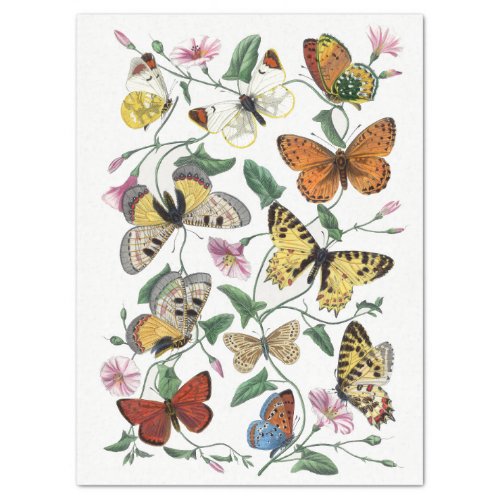 Yellow Butterfly Morning Glory Flower Decoupage   Tissue Paper