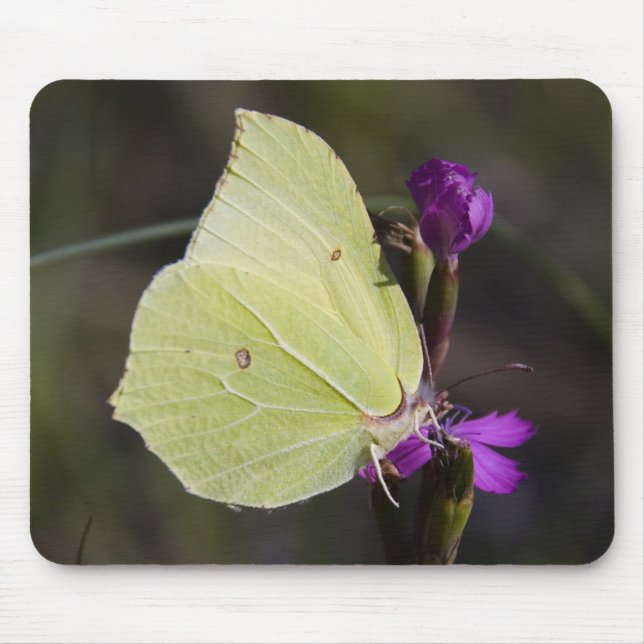 yellow butterfly mouse pad (Front)