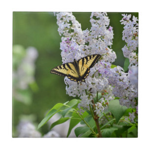 Yellow Butterfly on Lilac Tree Ceramic Tile