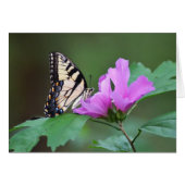 Yellow Butterfly on Pink Posies (Front Horizontal)