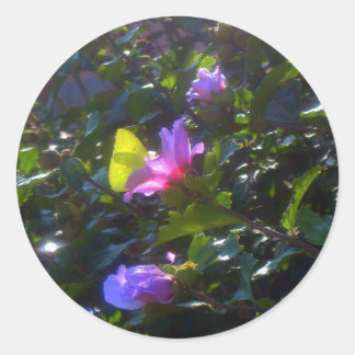 Yellow Butterfly on Pink Rose of Sharon Classic Round Sticker
