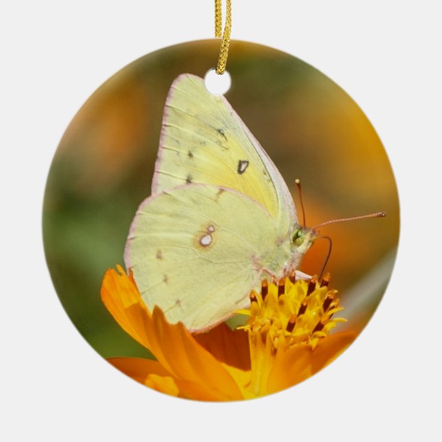 Yellow butterfly ornament (Front)