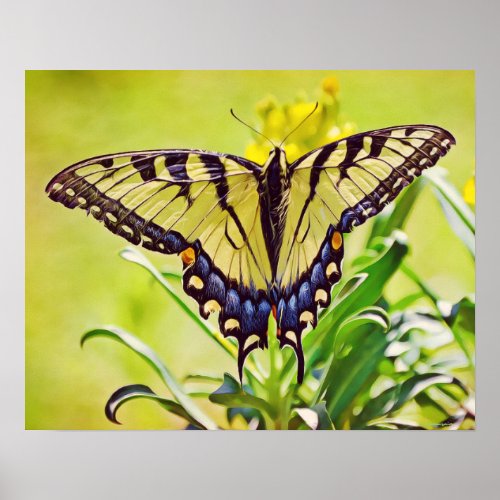 Yellow Butterfly Photographic Art Print