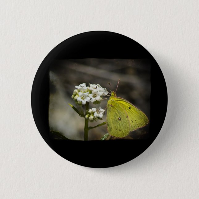 Yellow Butterfly Pinback Button (Front)