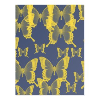 yellow butterfly postcard