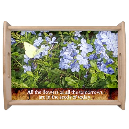 Yellow Butterfly Purple Flowers Above Ancient Wall Serving Tray