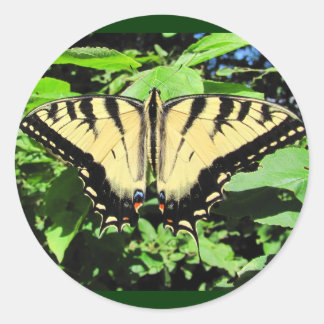 Yellow Butterfly ~ sticker