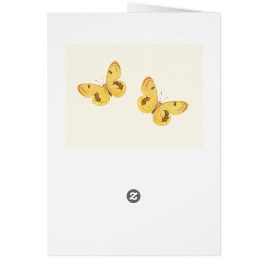 Yellow Butterfly - What if I fall? Inspirational (Back)