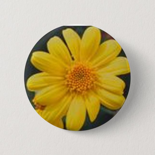 yellow button (Front)