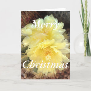 Yellow Cactus Bloom Christmas Card