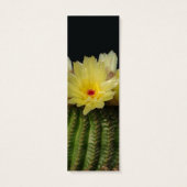 Yellow Cactus Flower (Back)