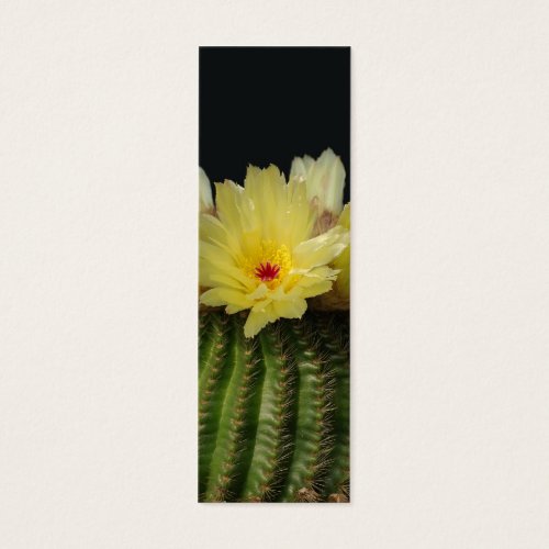 Yellow Cactus Flower Business Card Template