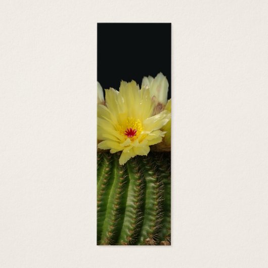 Yellow Cactus Flower (Front)