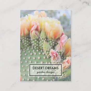 Yellow Cactus Flower Desert Garden Photo Travel Business Card by ShoshannahSnaps at Zazzle