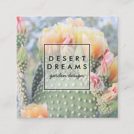 Yellow Cactus Flower Desert Garden Photo Travel Square Business Card