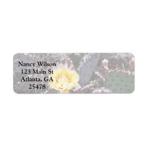 Yellow cactus flower in april label