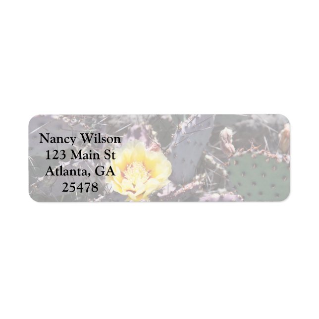 Yellow cactus flower in april label (Front)