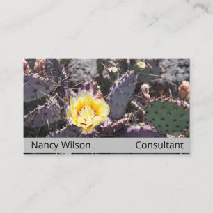 Yellow cactus flower in spring business card