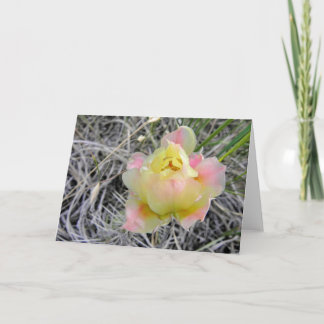 Yellow Cactus Flower Note Card
