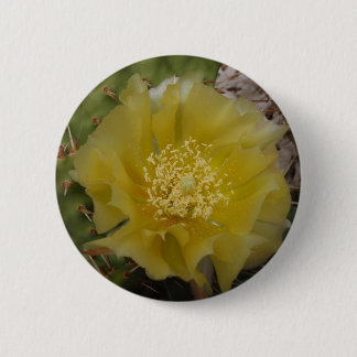 Yellow Cactus In Bloom Button