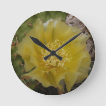 Yellow Cactus In Bloom