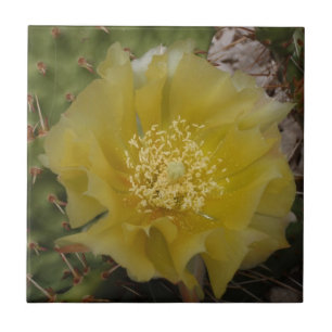 Yellow Cactus In Bloom Tile