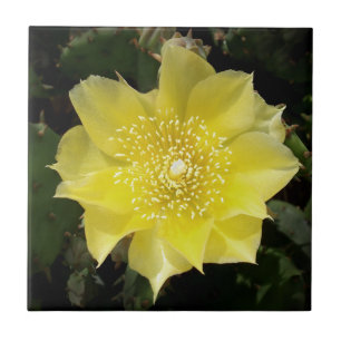 Yellow Cactus Prickly Pear Flower Tile