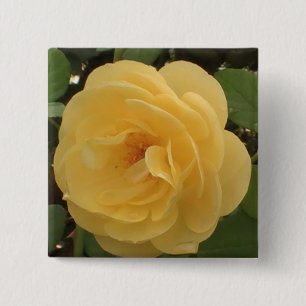 Yellow Camellia Button