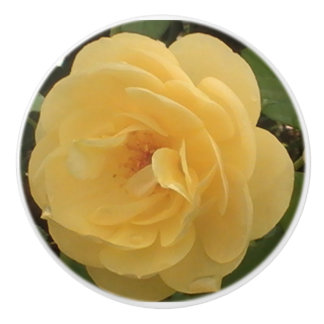 Yellow Camellia ceramic pull