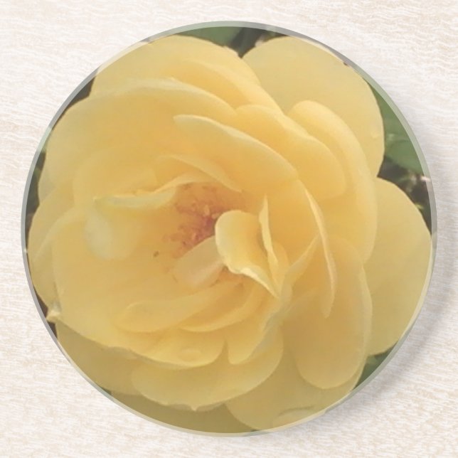 Yellow Camellia Coaster (Front)