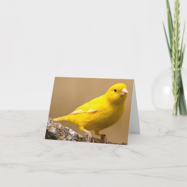 Yellow-Canary-Bird-Images Thank You Card (Front)