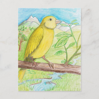 Yellow Canary in the Meadow Postcard