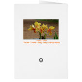 Yellow Canna Lily Cards (Back)
