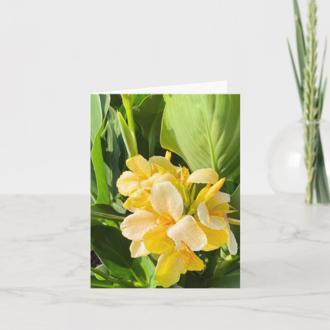 Yellow Canna Lily In A Garden Photograph Card (Front)
