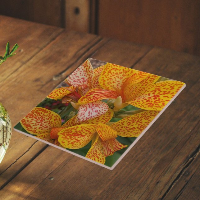 Yellow Canna Lily with Red Speckles Floral Ceramic Tile (In Situ)