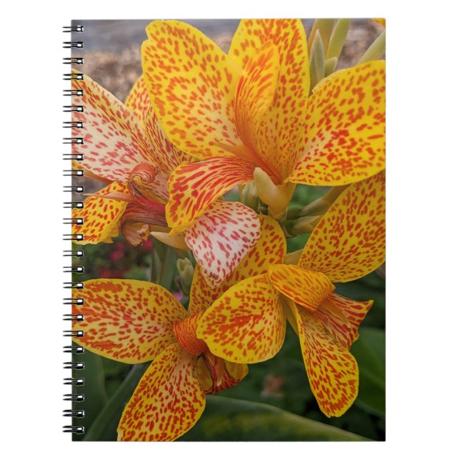 Yellow Canna Lily with Red Speckles Floral Notebook (Front)