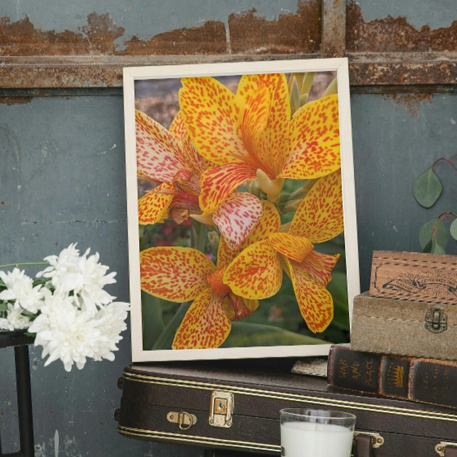 Yellow Canna Lily with Red Speckles Floral Photo Print (In Situ (Framed))