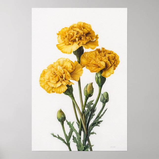 Yellow Carnations Flower Art Print Poster (Front)