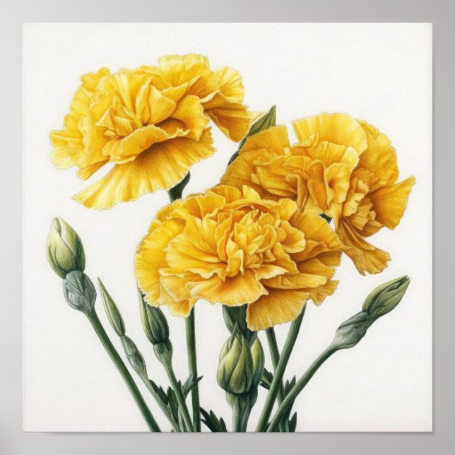 Yellow Carnations Flower Art Print Poster (Front)