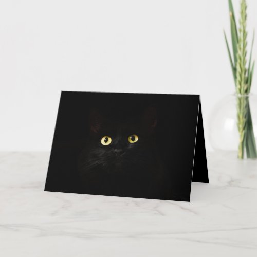 Yellow Cat Eyes Black Cat Black Background Card