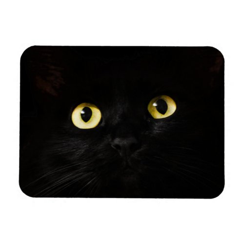 Yellow Cat Eyes Black Cat Black Background Magnet