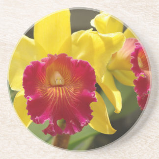 Yellow Cattleya Sandstone Coaster